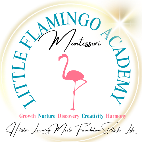 Little Flamingo Academy